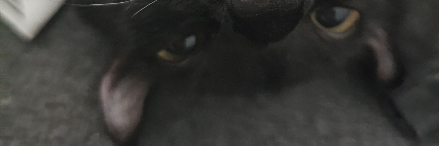 anvantae's profile banner image