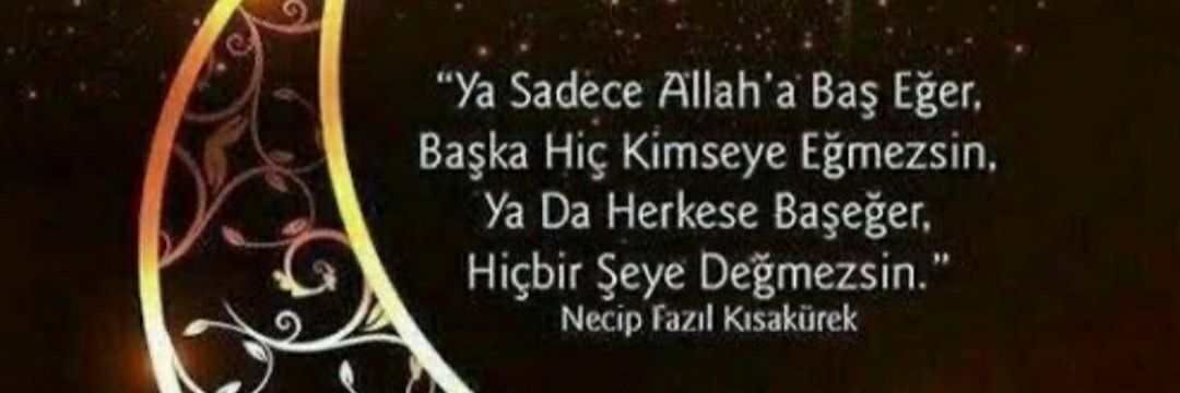 AhmetCAPANOGLU's profile banner image