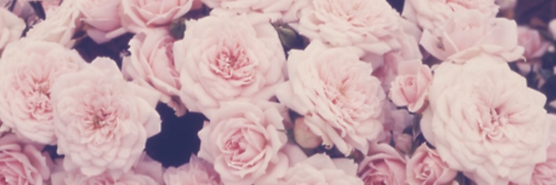BotanicalsBeau's profile banner image