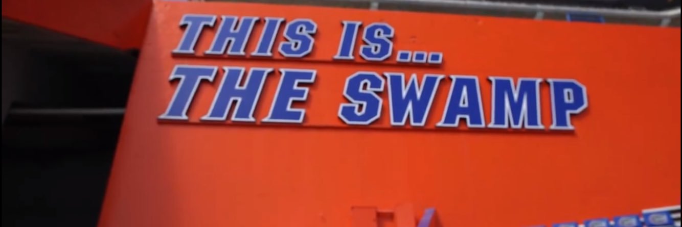 lygers13's profile banner image