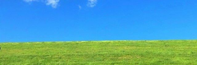 metaopas's profile banner image