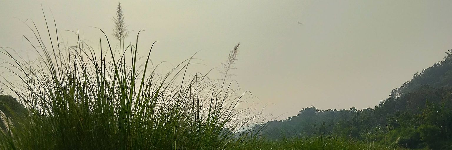 Rekomendasi banner