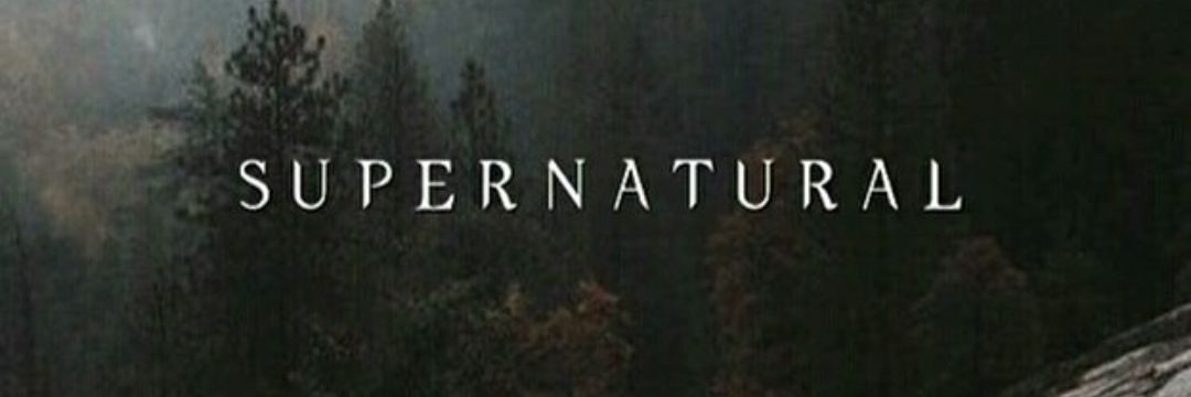 Lalleloves_AR's profile banner image