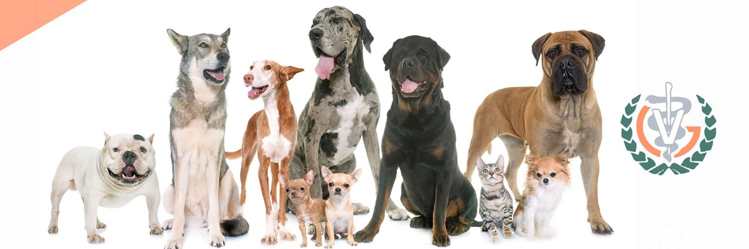 Col·legi de Veterinaris de Girona banner