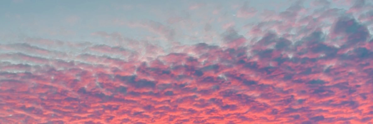 alyciar13's profile banner image