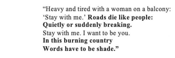 PeledYael Profile Banner