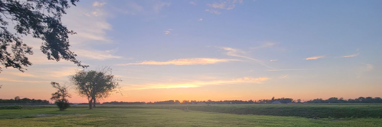 Barbara Murrisky banner