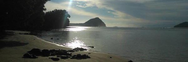 jasontitifanue Profile Banner