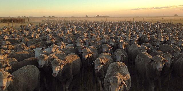 George J Kidman banner