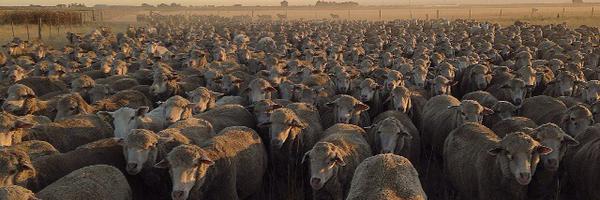 GeorgeKidman Profile Banner