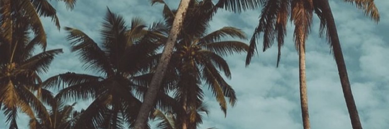 SashkOSashka's profile banner image