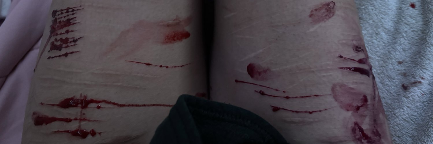 rott3dGF's profile banner image