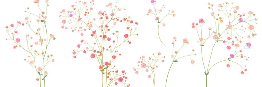 Jedimastermia's profile banner image