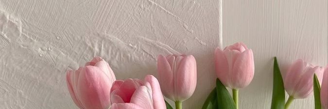 Vee 🌻 banner
