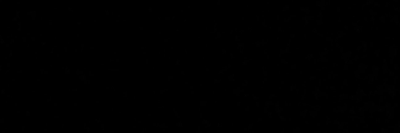 2540Ryb's profile banner image
