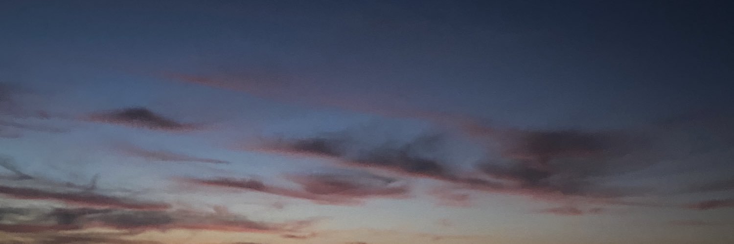 natrydaa's profile banner image