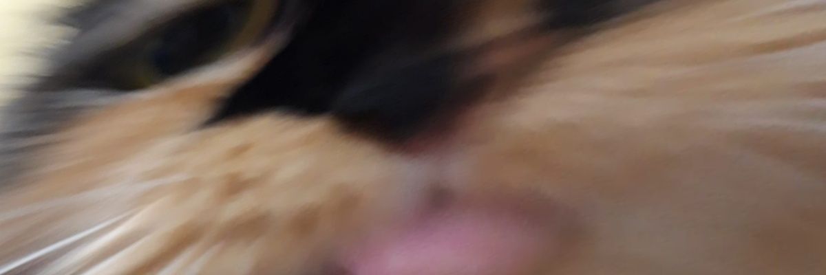 R banner