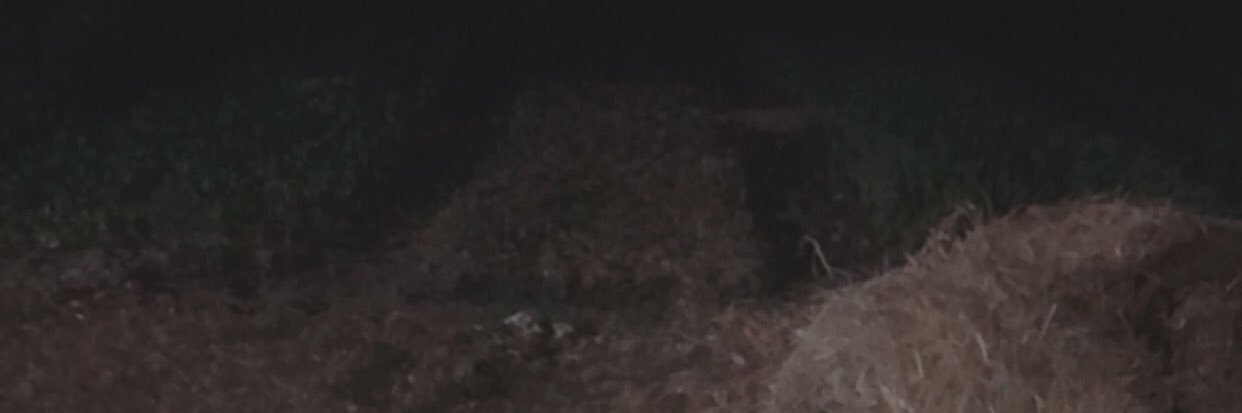Anin banner