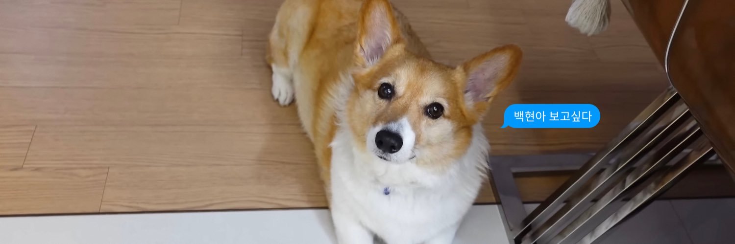 magic on the floor 🪩 banner