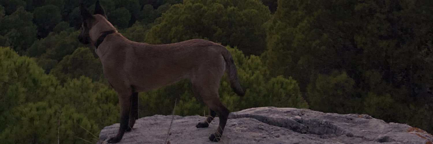 Mazine_25's profile banner image