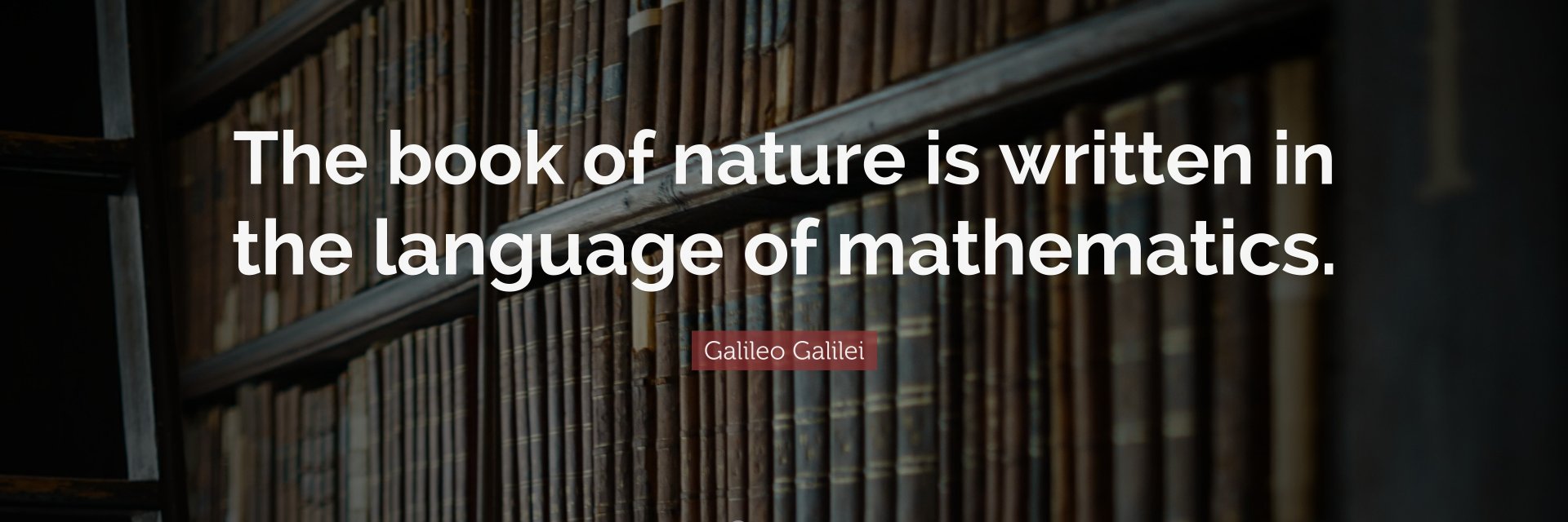 theperfectlanguage banner