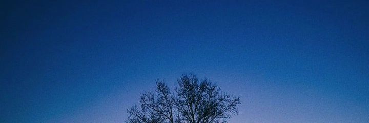 fi banner