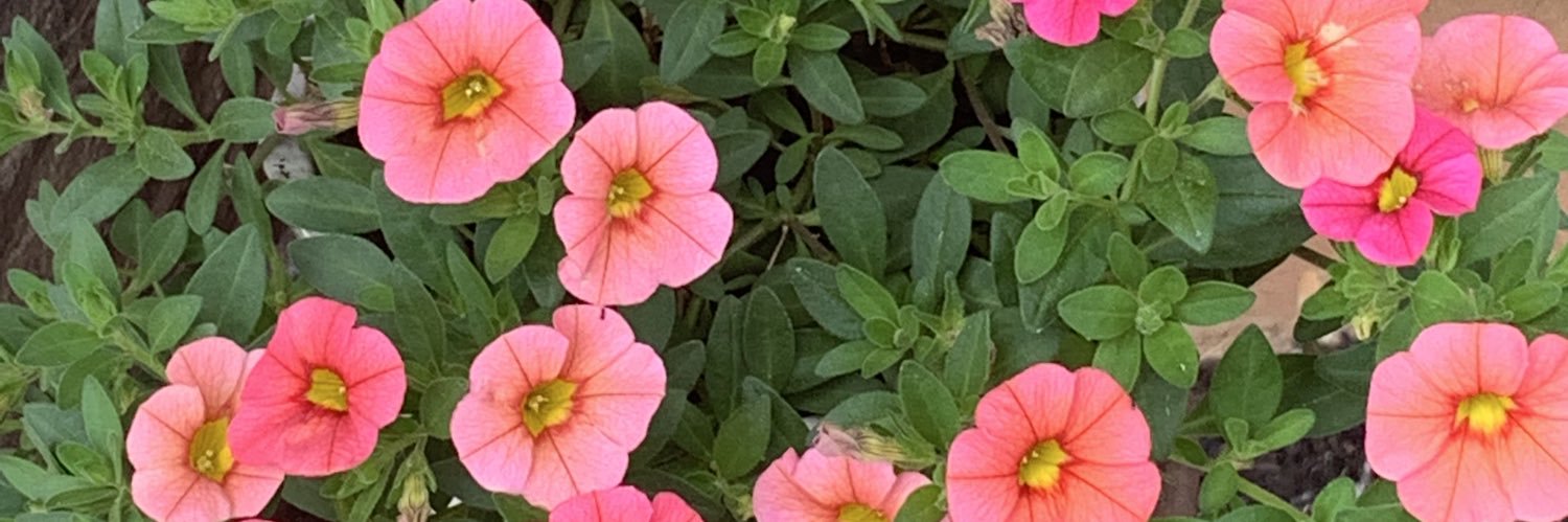 MalizzaMarie's profile banner image