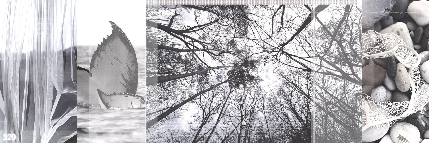 nurull🐈🐥 banner