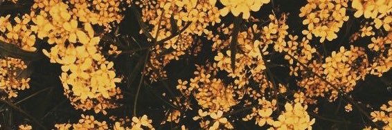 withvioletluv's profile banner image