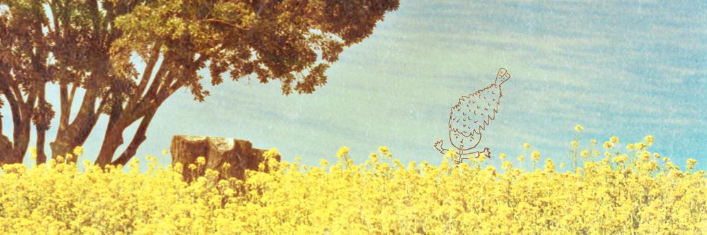 narifrog's profile banner image