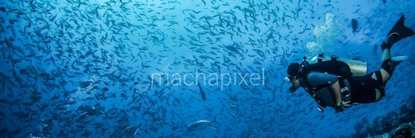 MachaPixel Profile Banner