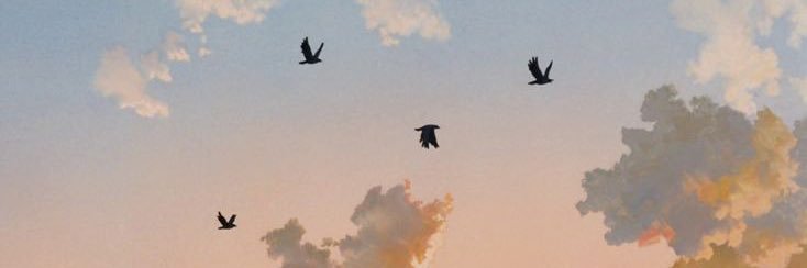 encdnm's profile banner image