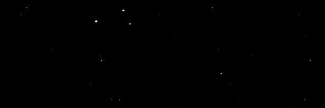 dariariesl's profile banner image