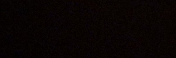 shewntweets Profile Banner