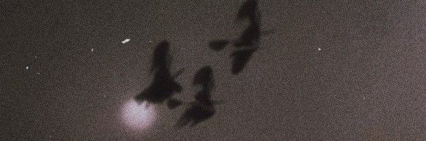 drealvss's profile banner image