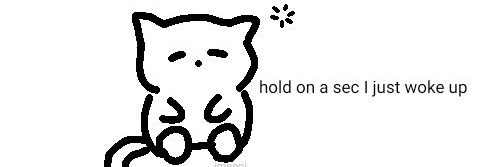 bolu 🦝🦄 banner