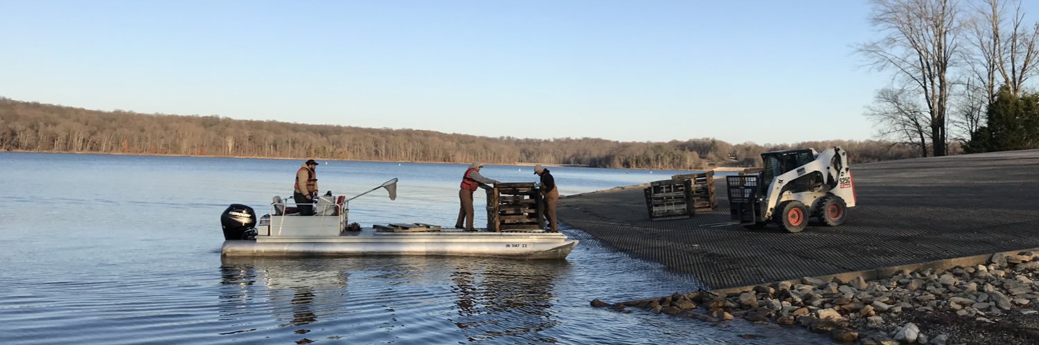 Sarah Molinaro banner