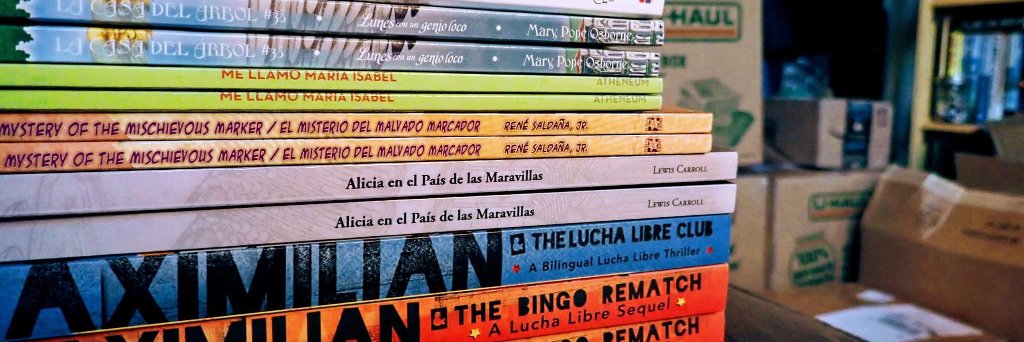 2000 Libros banner