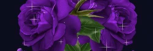 Gorjus22💜💐🌸🥀 banner