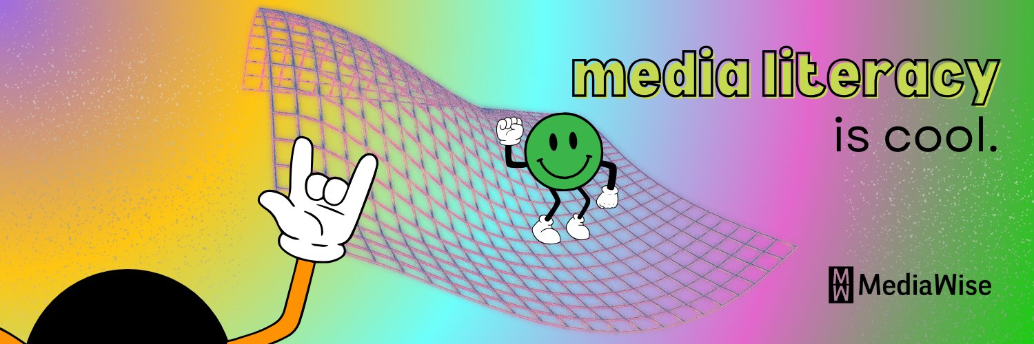 MediaWise banner