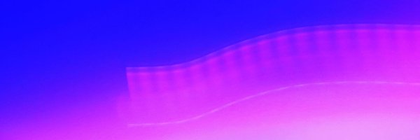 cedcolas Profile Banner