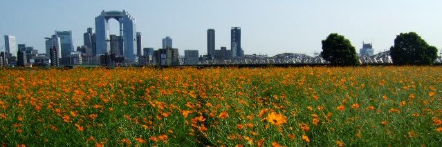 もり きょうすけ banner