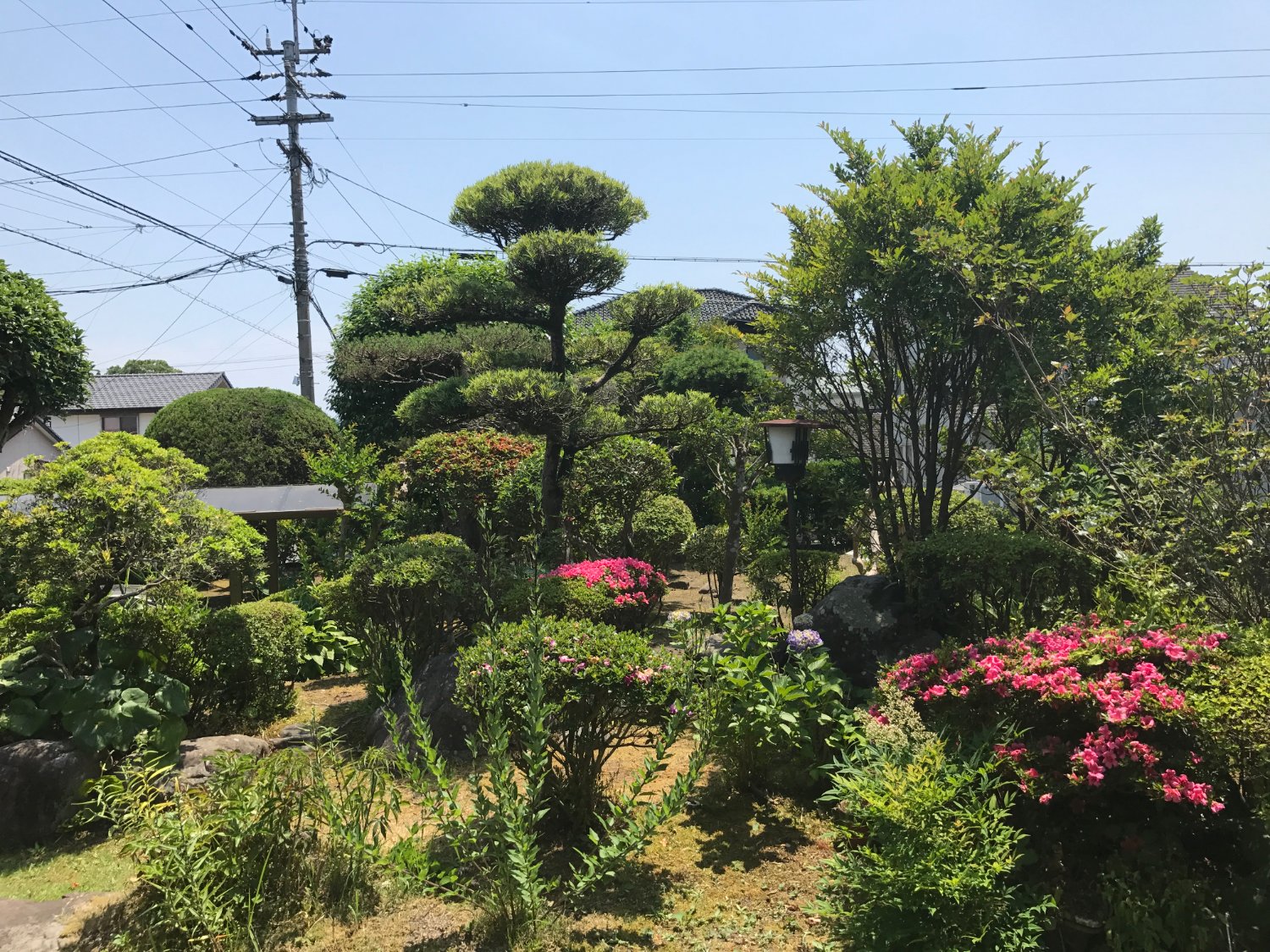 Mtodo fully pfizered! 酒のつまみに年中「おせち料理」を banner