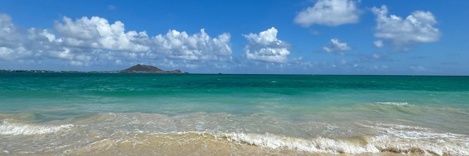 CHOP およね banner