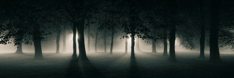 Edickson_C's profile banner image