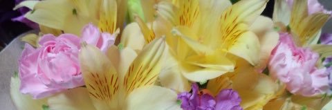 toninaga's profile banner image
