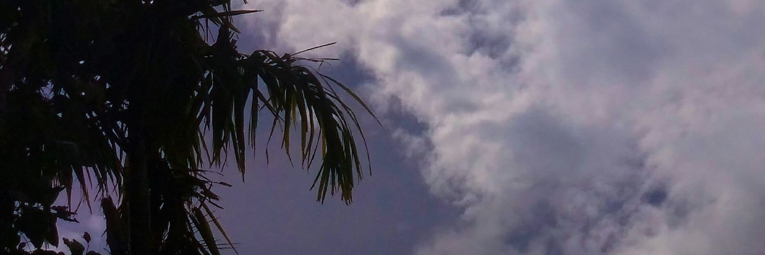 tikafgs's profile banner image