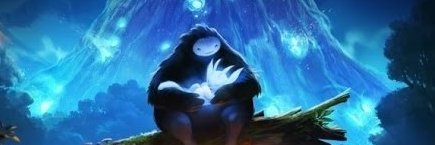 zeze de camaro banner