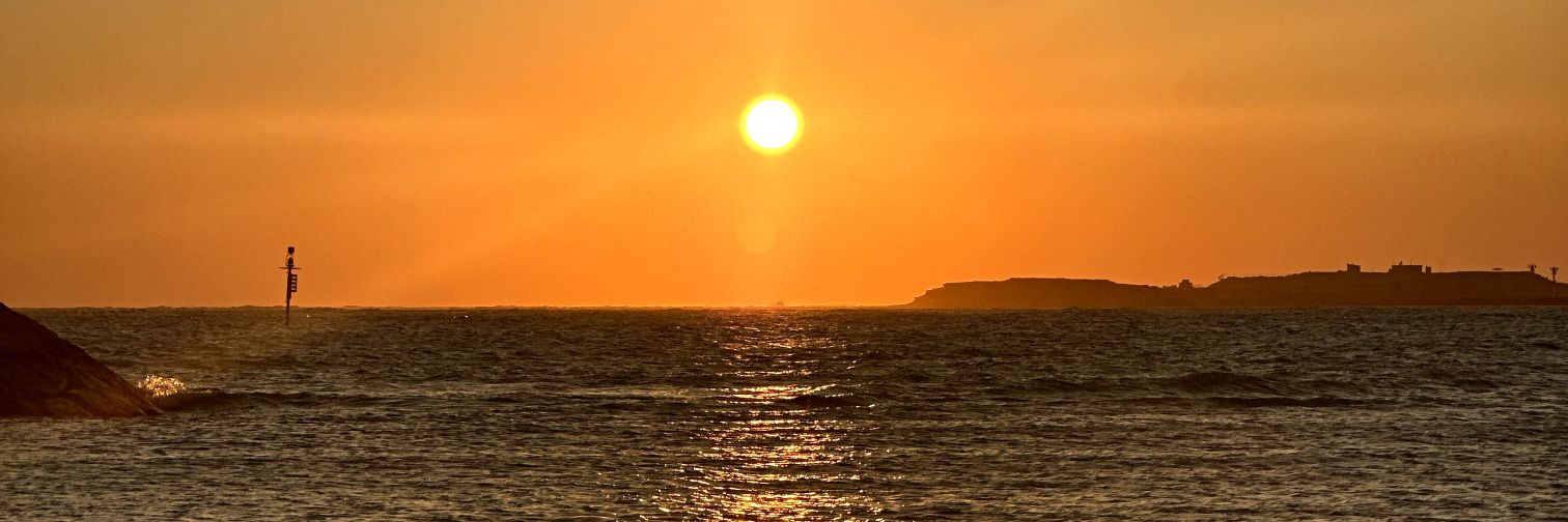 dp_o1_'s profile banner image