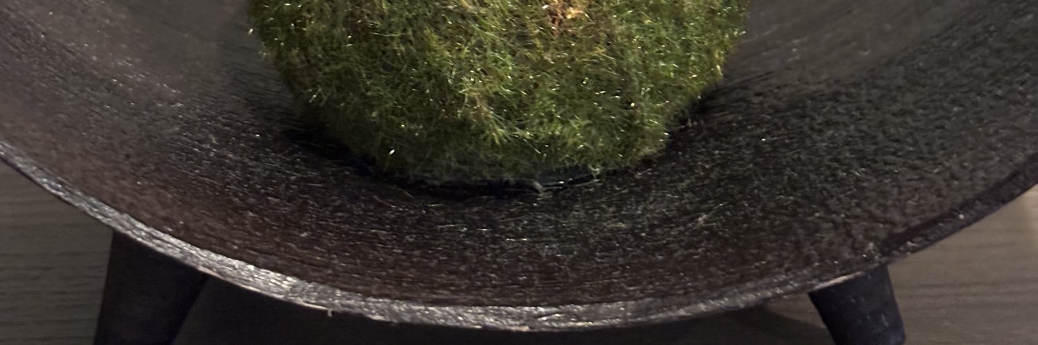 mischiefBR's profile banner image